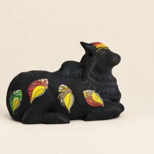 Black Medium Nandi