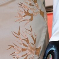 Hand Painted Skirt and top - Image 3