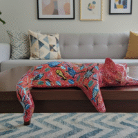 Bilav COZYCAT04 - Rumin Arts Collection - Image 3