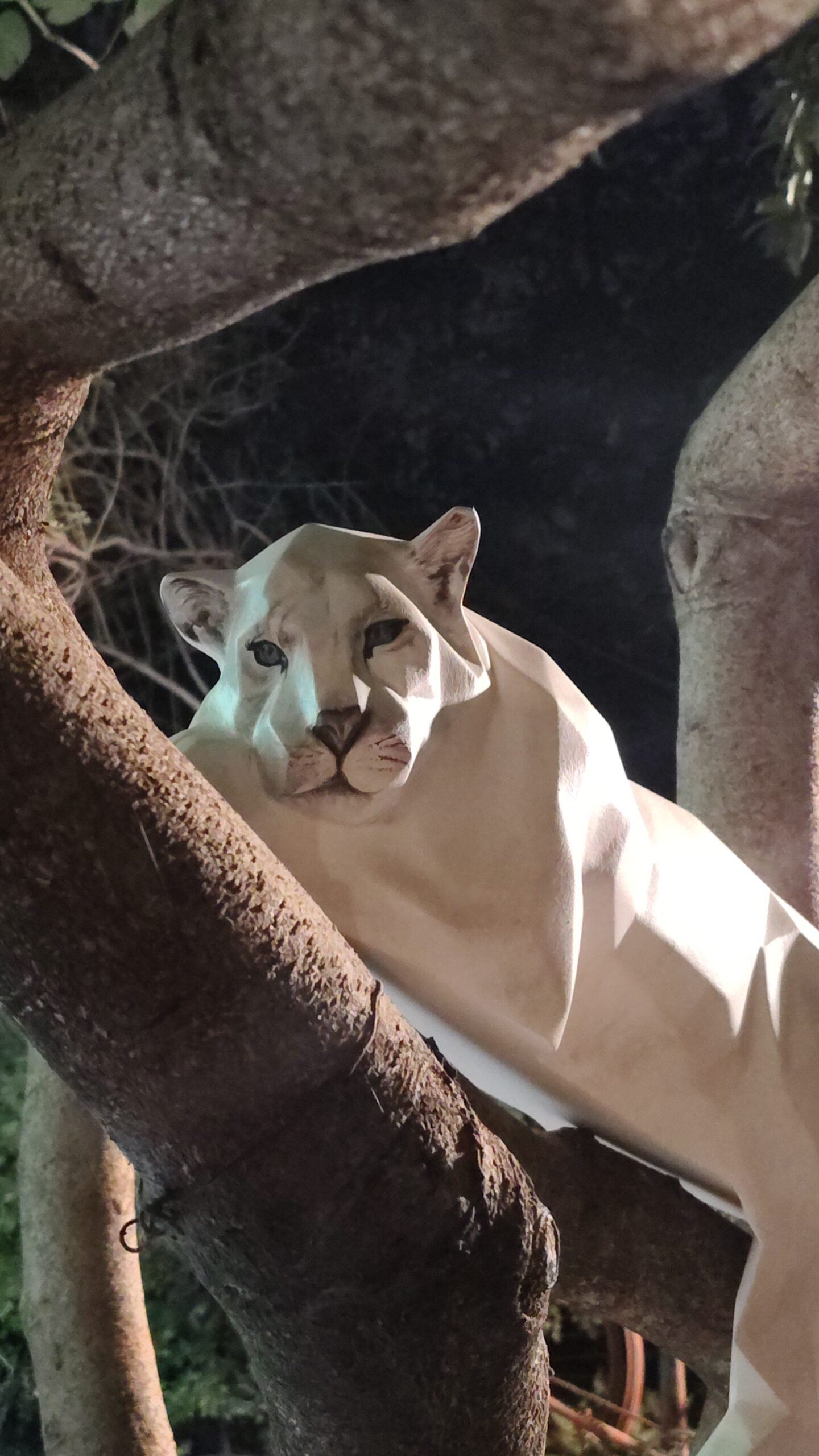 IMG_20260116_183640103