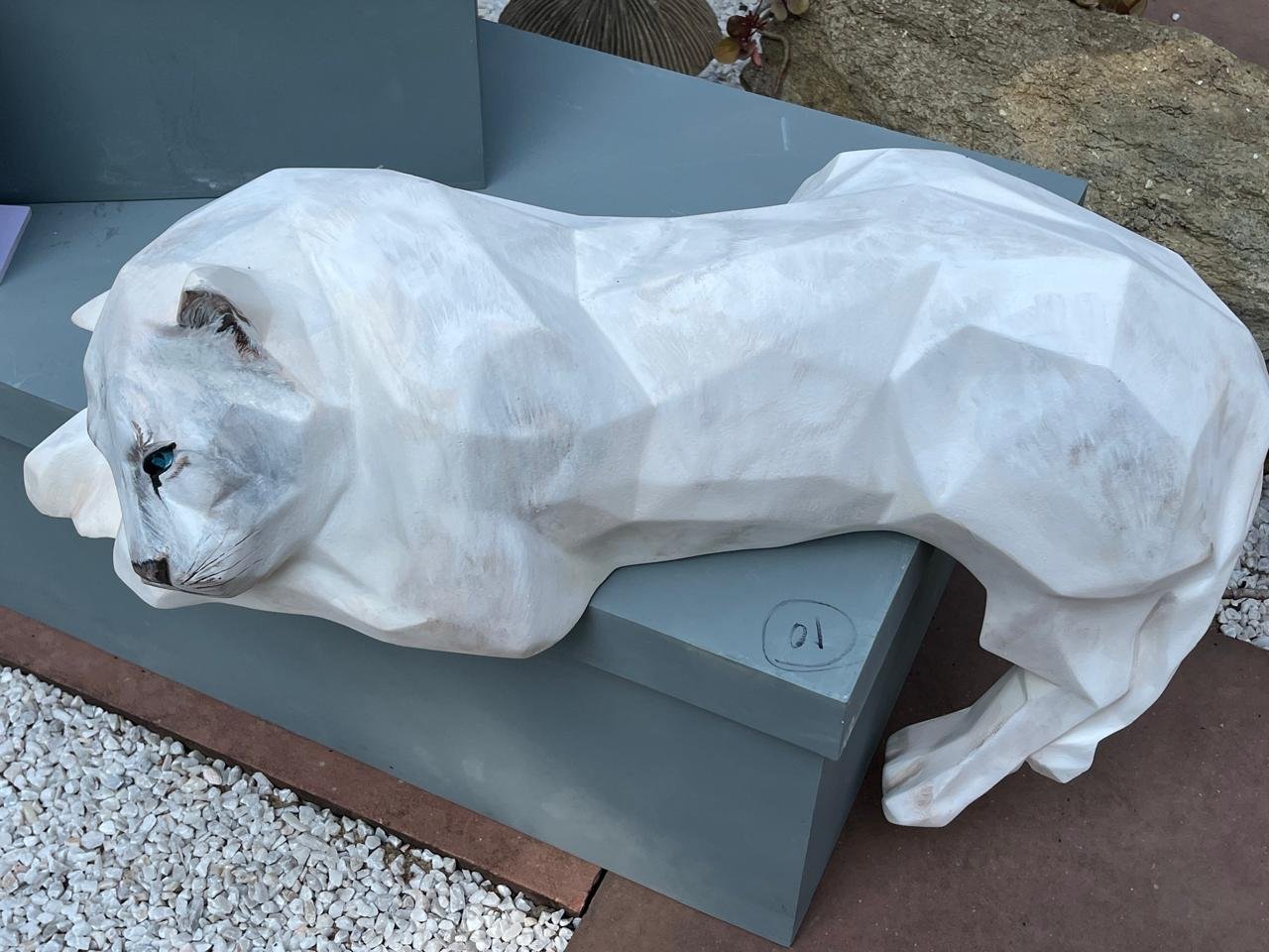 WhatsApp Image 2026-01-24 at 10.51.46 PM