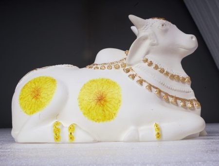 156 PANKAJ PARE PHOTOGRAPHY