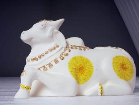 159 PANKAJ PARE PHOTOGRAPHY