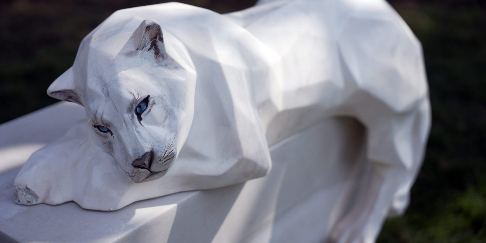 28 PANKAJ PARE PHOTOGRAPHY