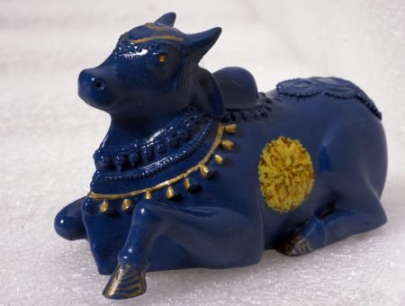 282 PANKAJ PARE PHOTOGRAPHY