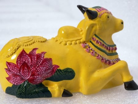 293 PANKAJ PARE PHOTOGRAPHY